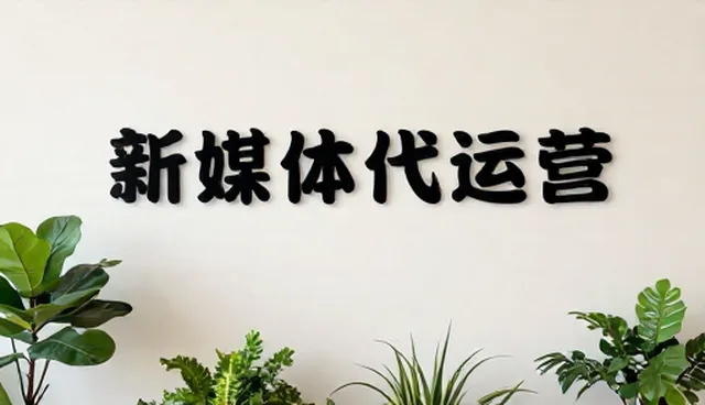 媒介投放内容策划五大检查要点解析